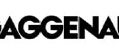 Servicio Tecnico gaggenau